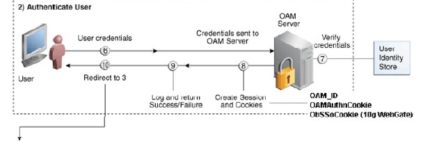 Oracle OAM 10g Session Hijacking